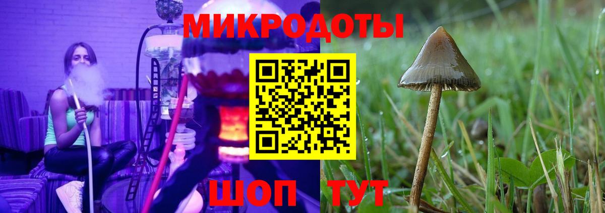 Псилоцибиновые грибы GOLDEN TEACHER Химки